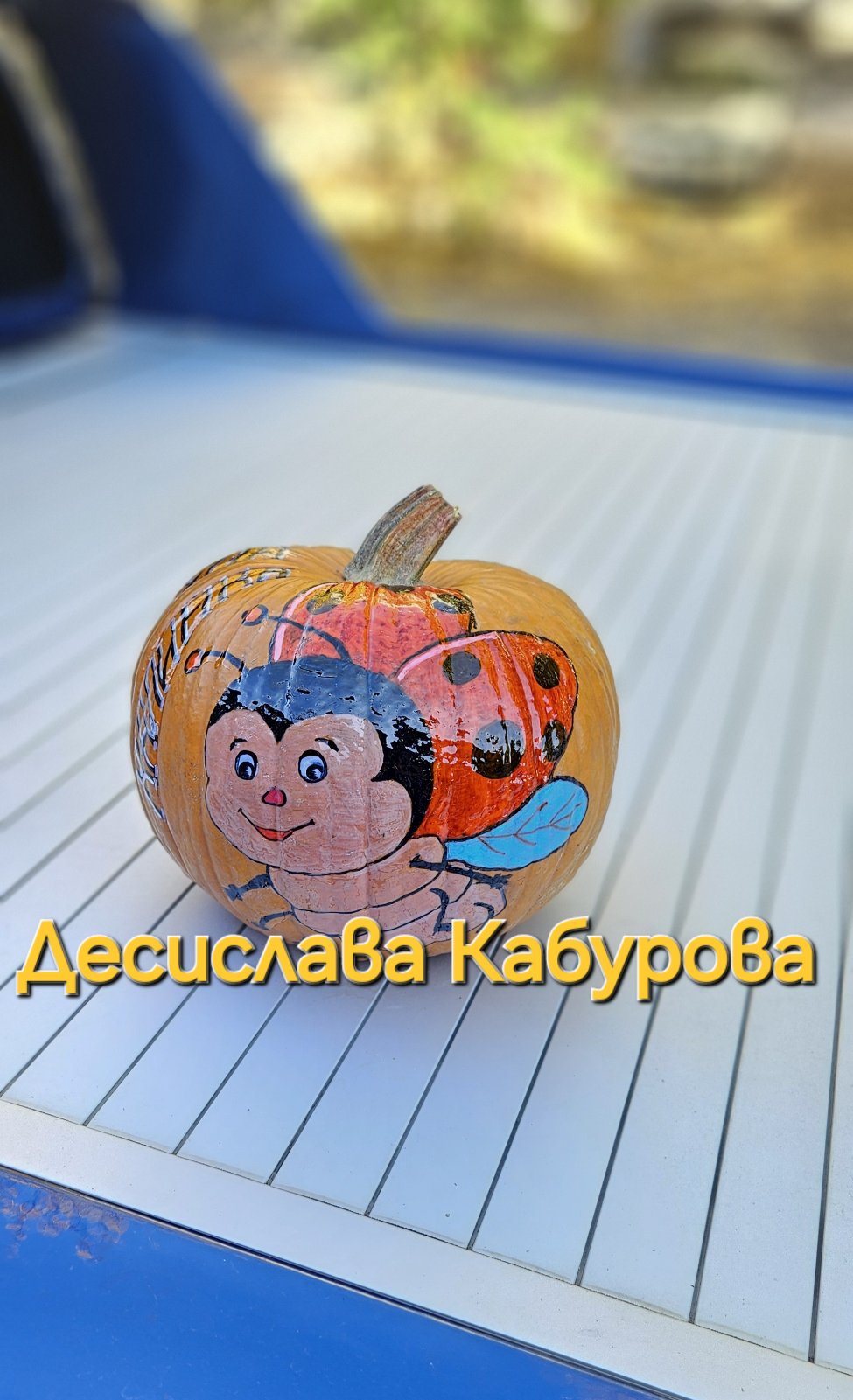 Ръчно рисувана тиква с акрилни бои 29