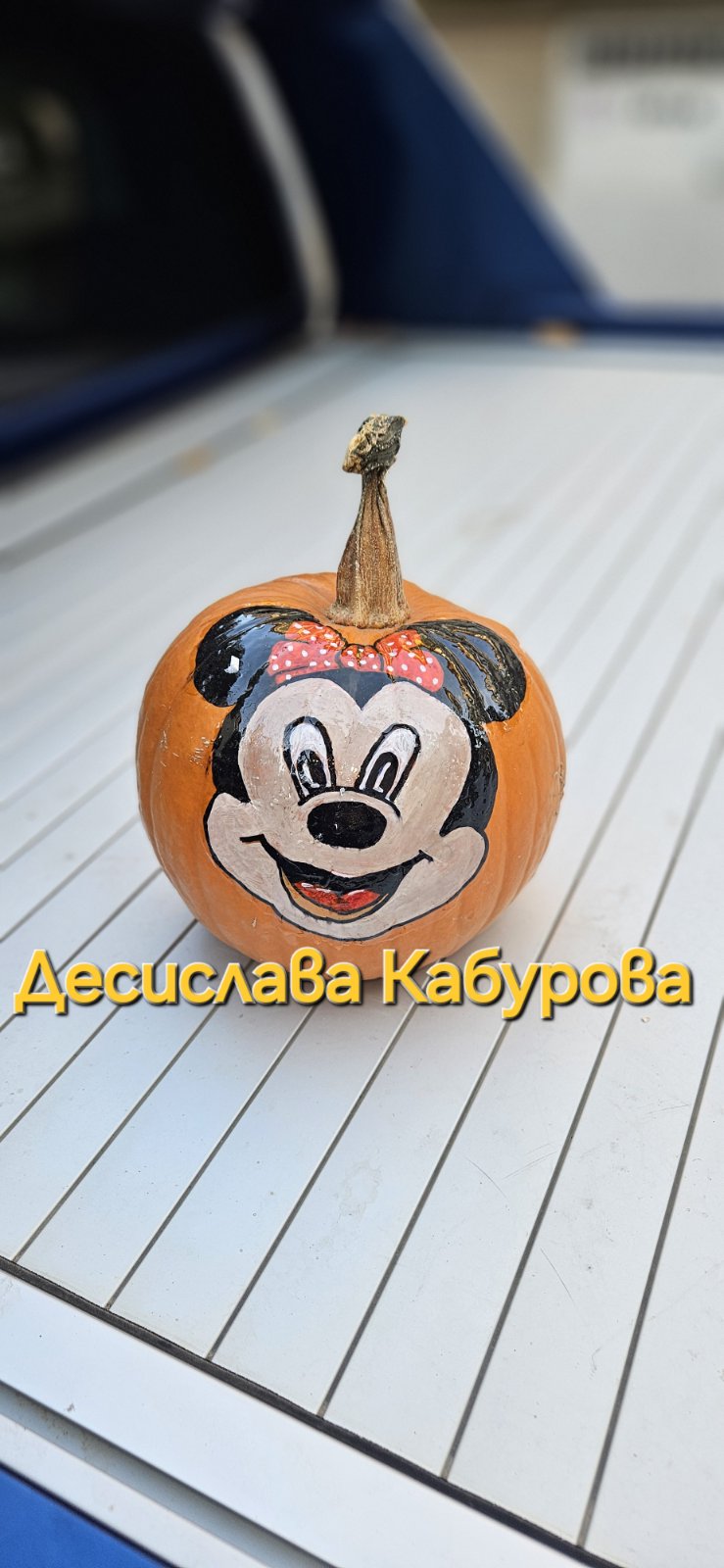 Ръчно рисувана тиква с акрилни бои 46