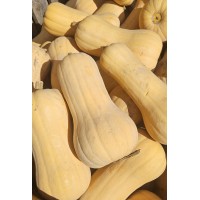 Тиква "Матилда" (1 кг - 4 кг)