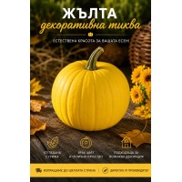 Тиква „ЖЪЛТА“